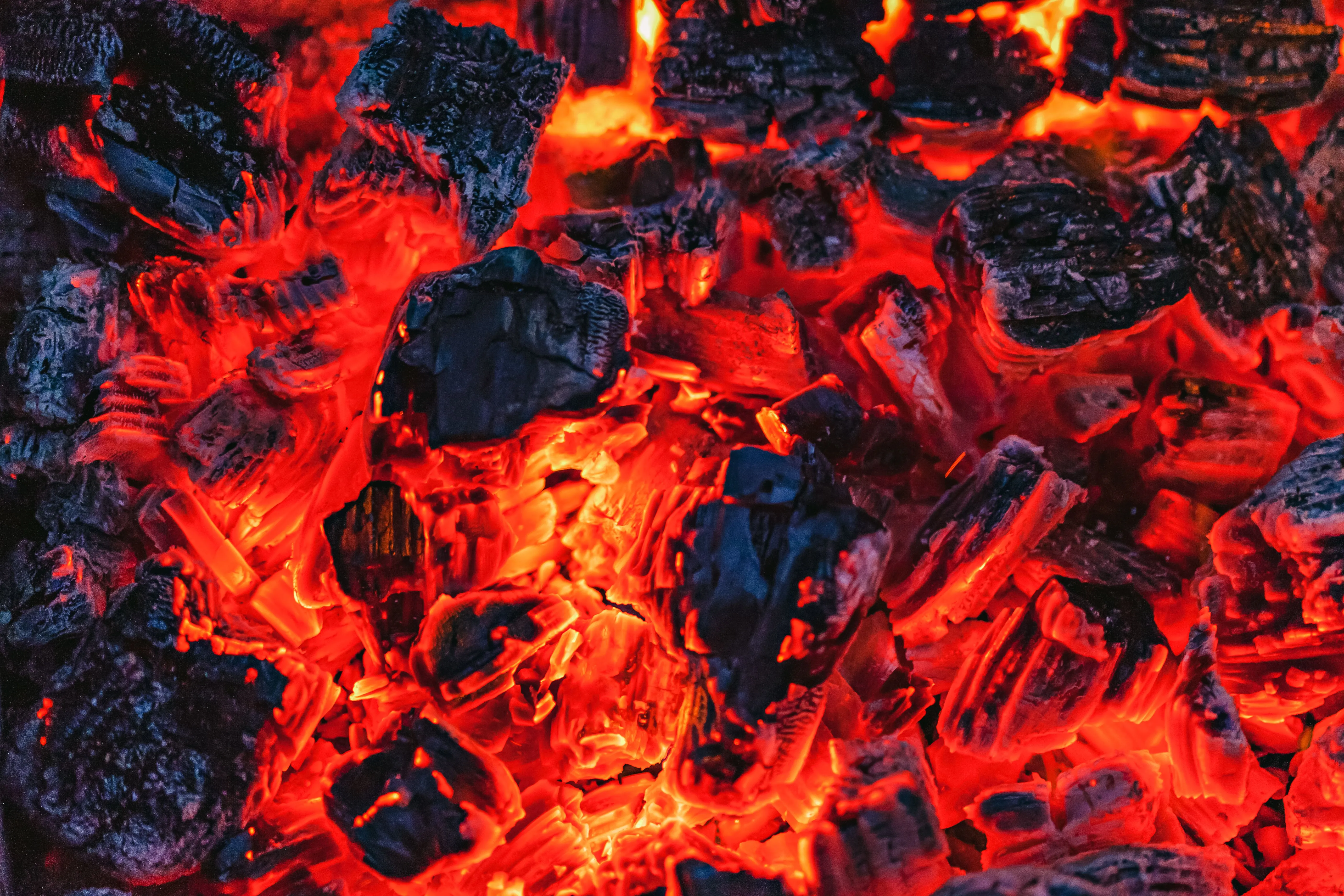 Barbecue (BBQ) & Finger Charcoal