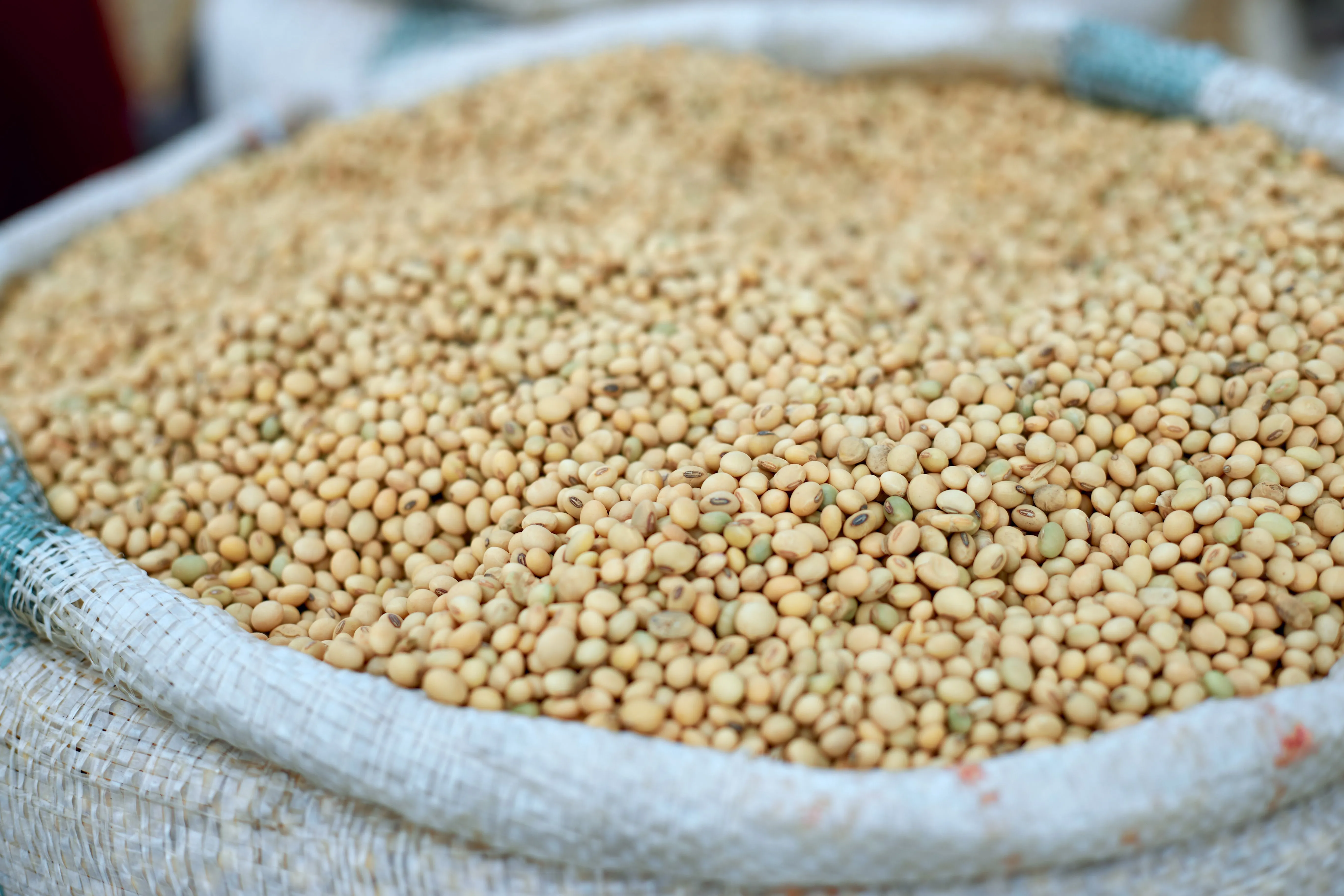 Beans