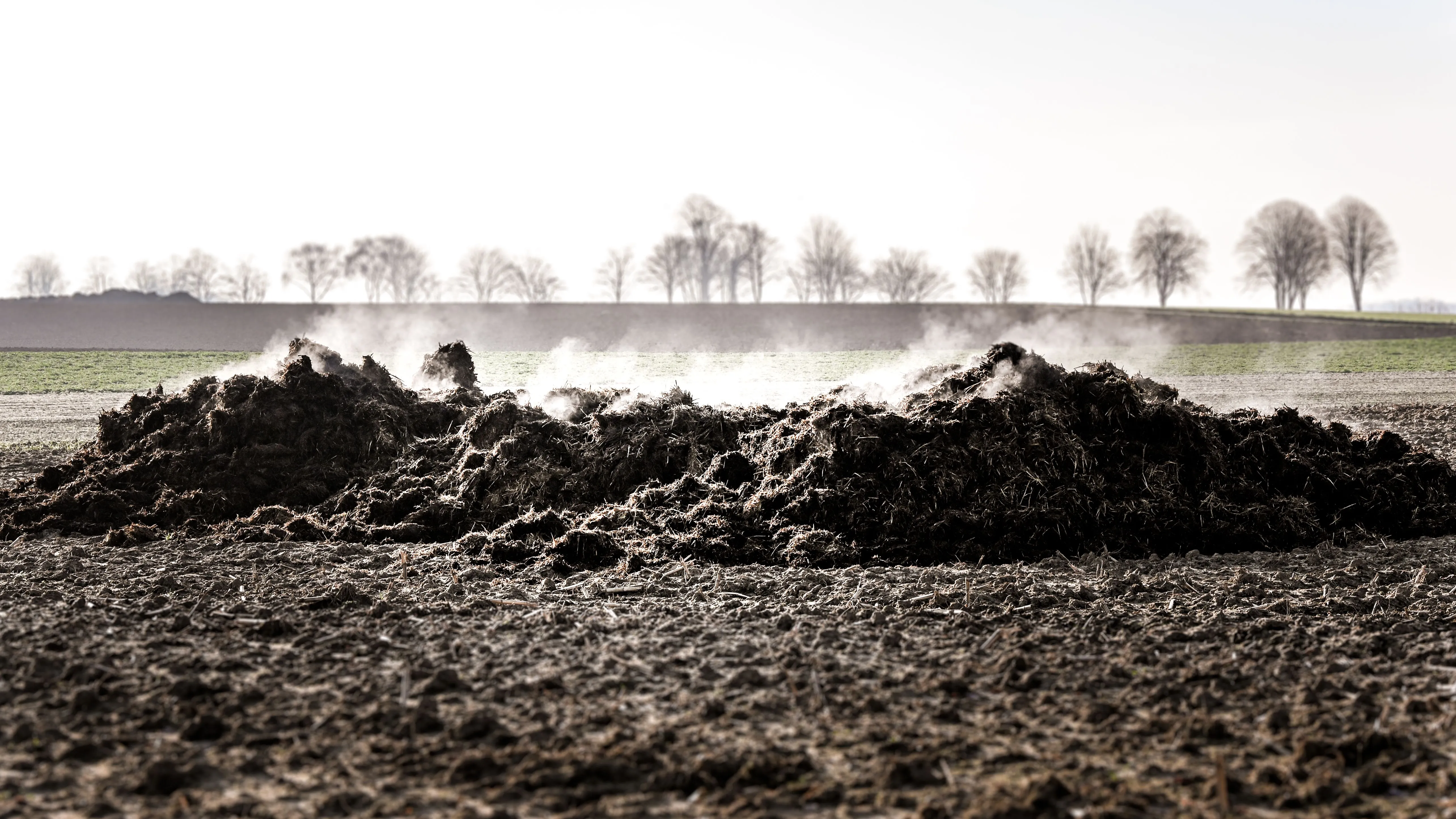 Industrial Fertilizer