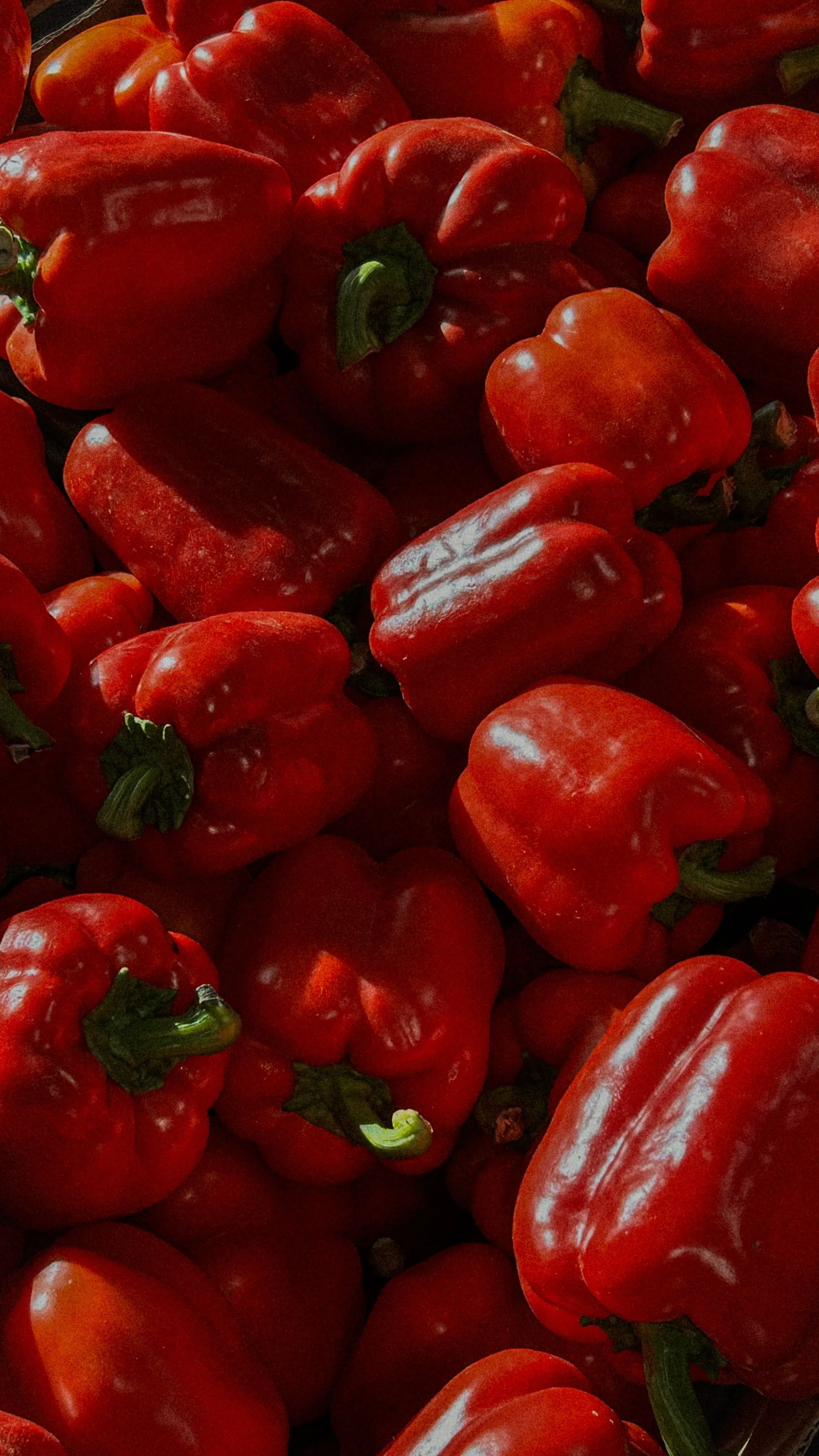 Dried Peppers