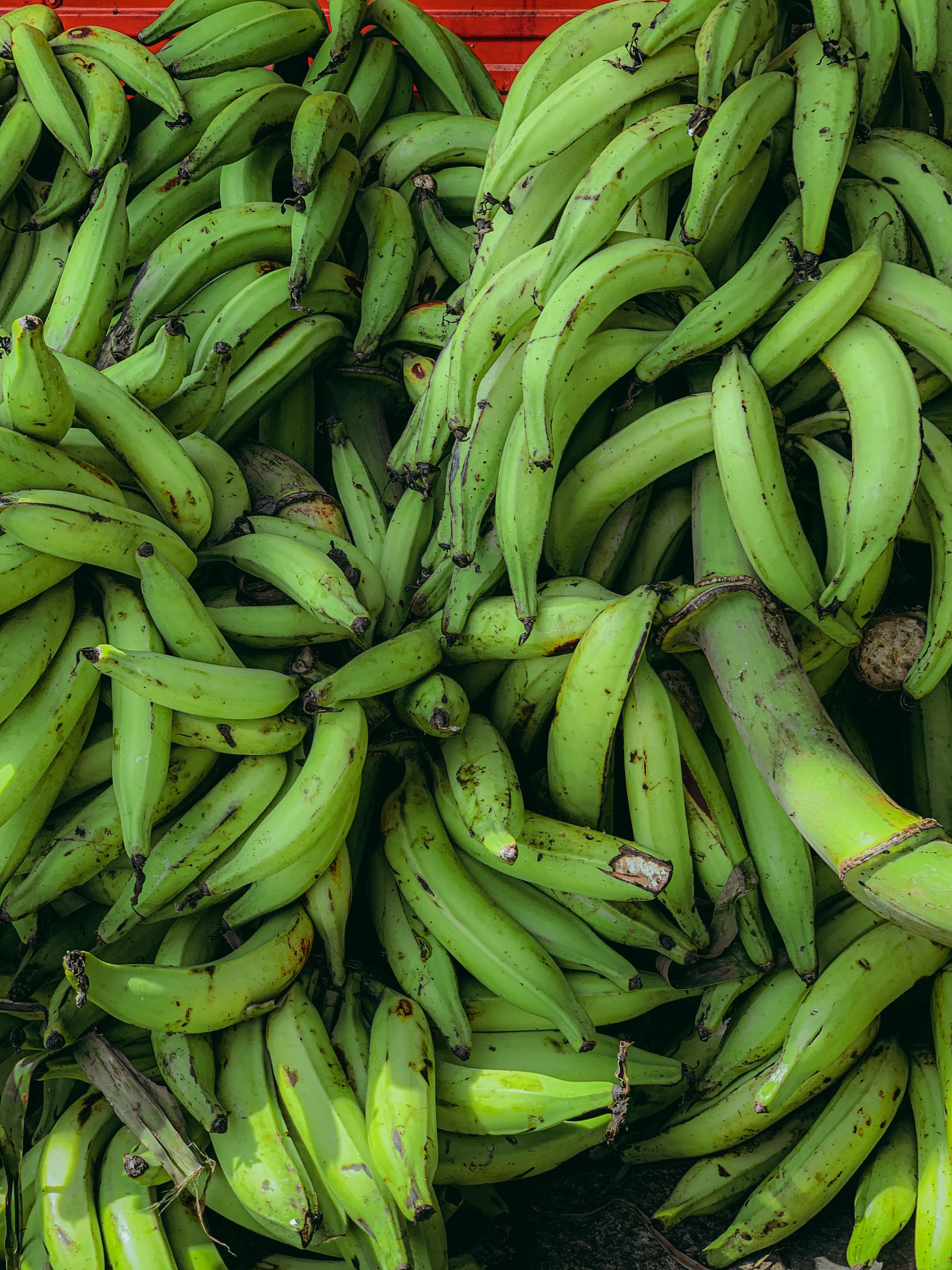 Plantains