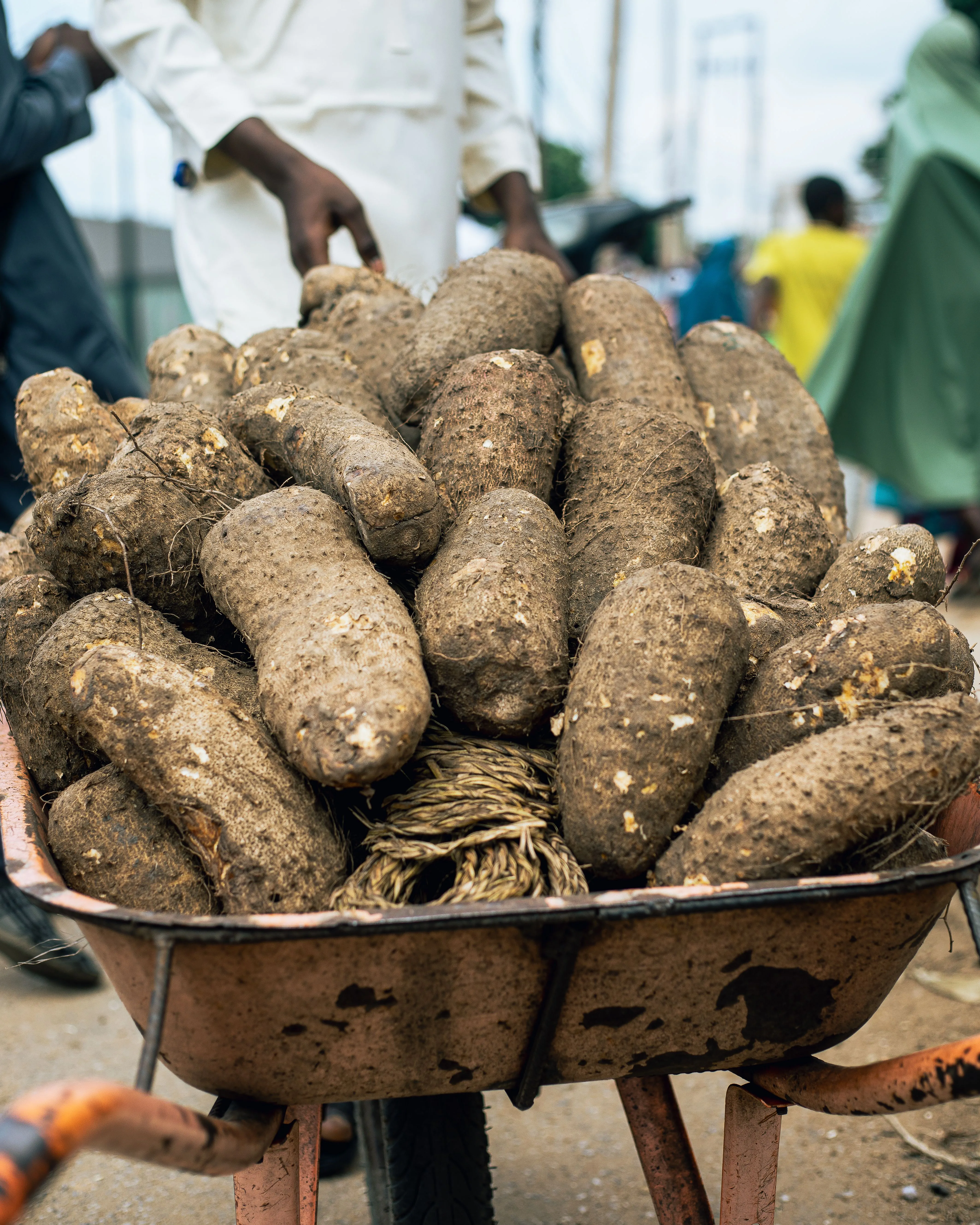 Yam